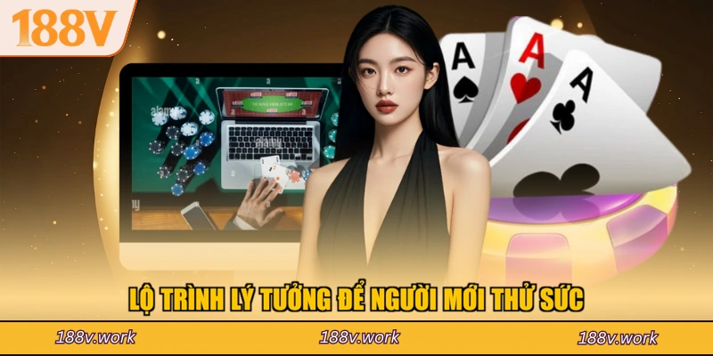 Lộ trình lý tưởng để người mới thử sức